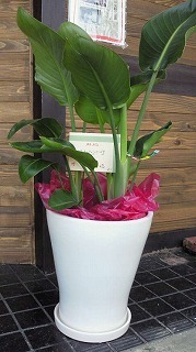2012051410300000.jpg