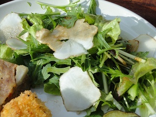 DSC00855.jpg