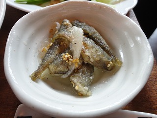 DSC01288.jpg