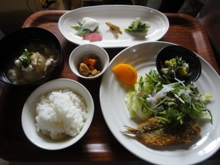 DSC08515.jpg