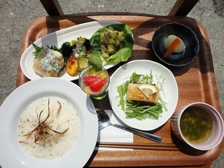 DSC08527.jpg