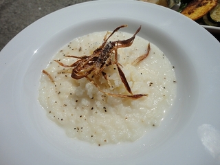 DSC08534.jpg