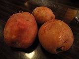 DSC09292.jpg