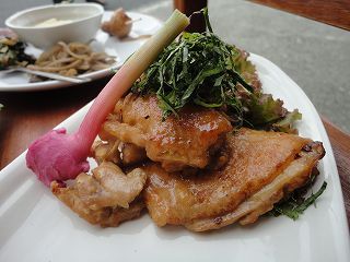DSC09488.jpg