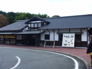 P1020145.jpg