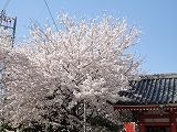 DSC03922.jpg